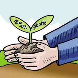 我國(guó)知識(shí)產(chǎn)權(quán)服務(wù)企業(yè)的經(jīng)營(yíng)策略建議