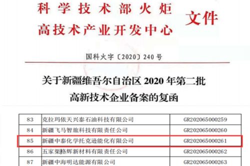 托克遜能化榮獲自治區(qū)第二批高新技術(shù)企業(yè)認(rèn)定，知識(shí)產(chǎn)權(quán)服務(wù)助力創(chuàng)新發(fā)展