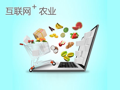 點豆網 以“互聯網+”助力農業可持續發展，開啟智慧農業新篇章